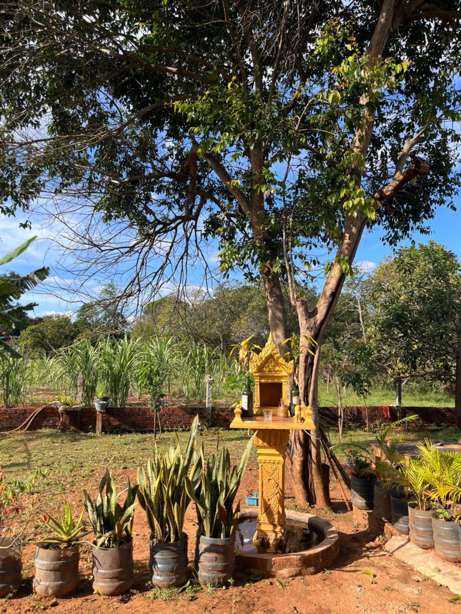 Ratanakiri Farmhouse & Trekking Banlung Exterior foto