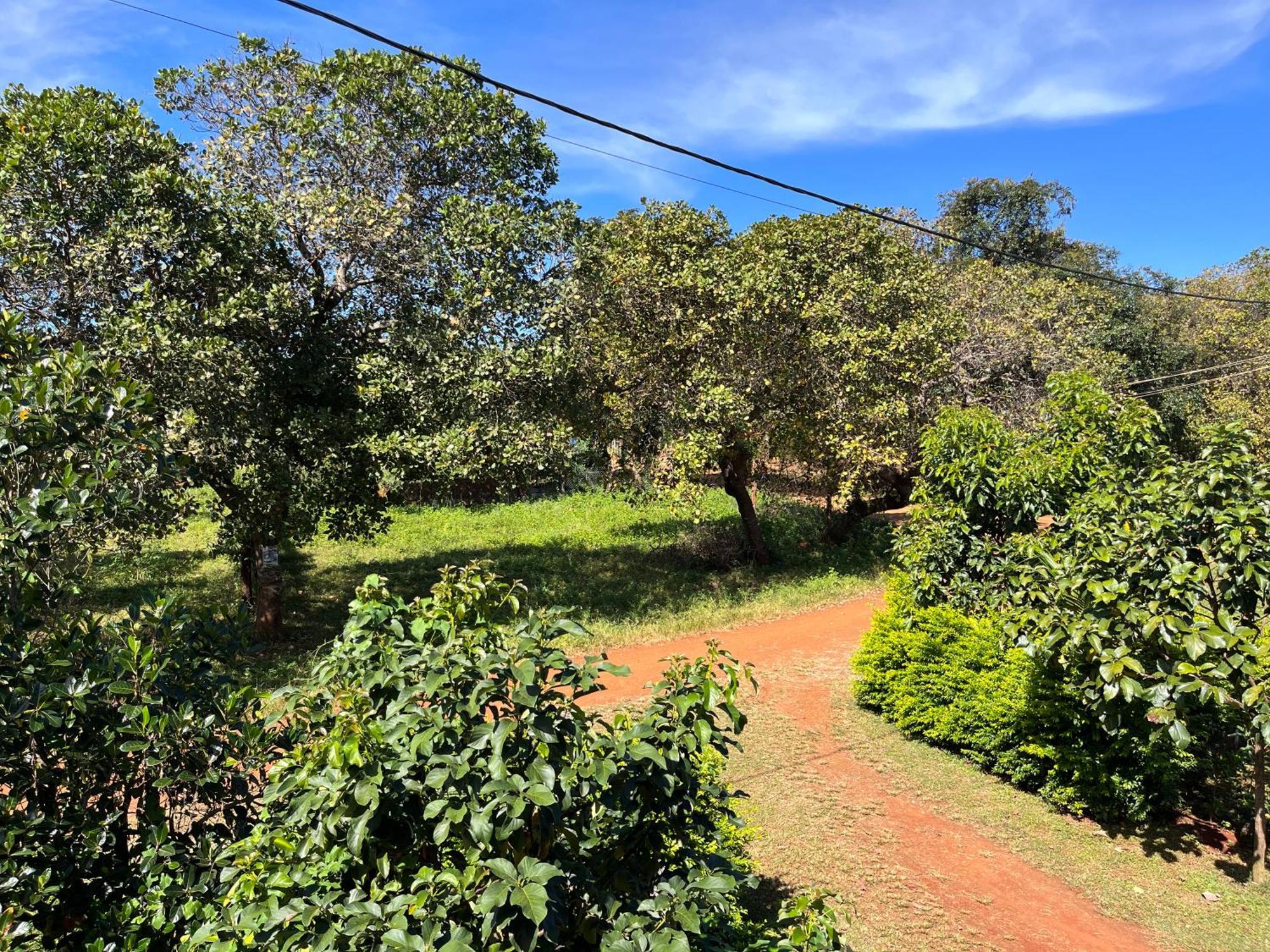 Ratanakiri Farmhouse & Trekking Banlung Exterior foto